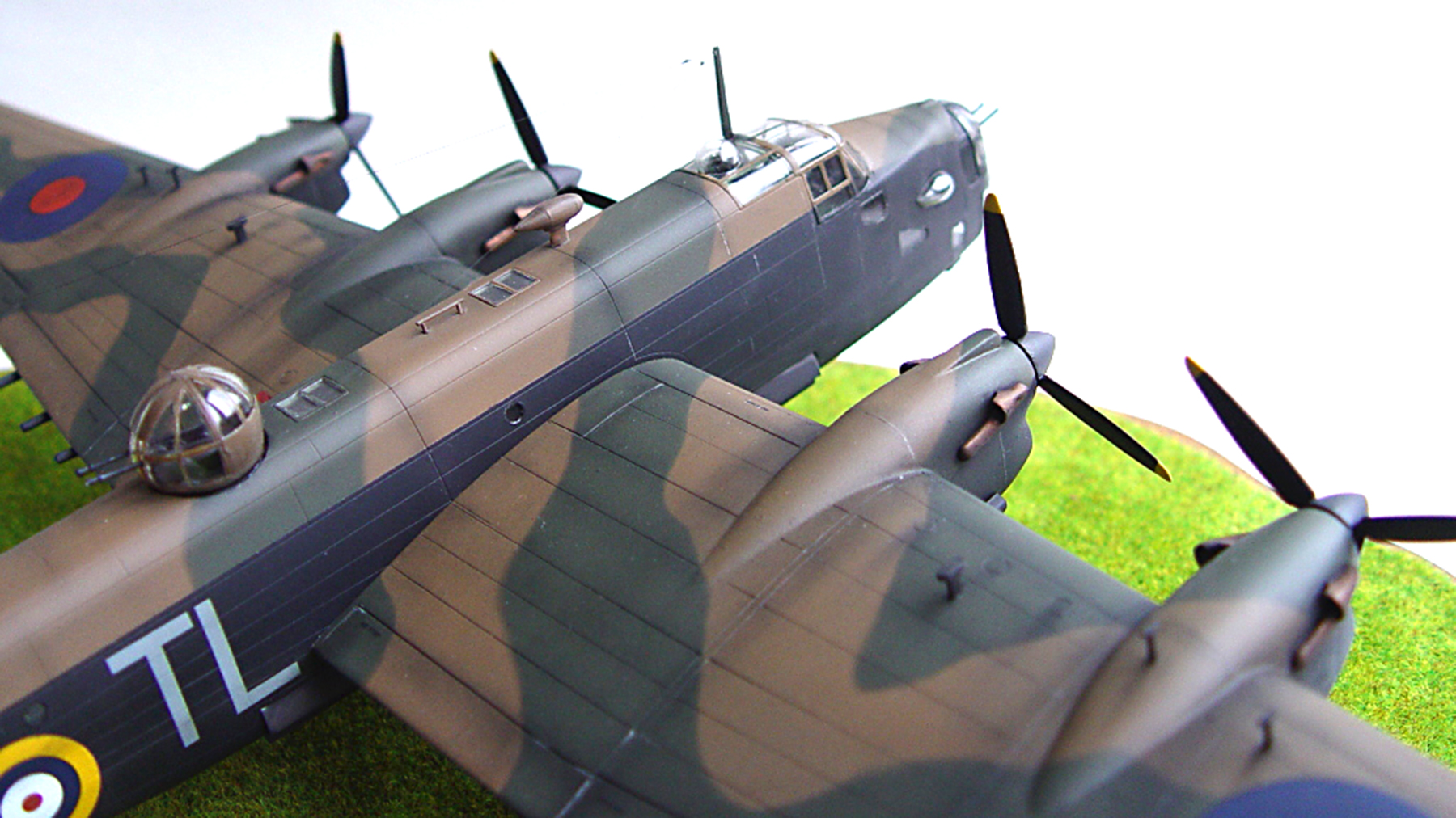 DSC03385 by Woody Halifax TL.S grey codes by Woody 1800x1012px