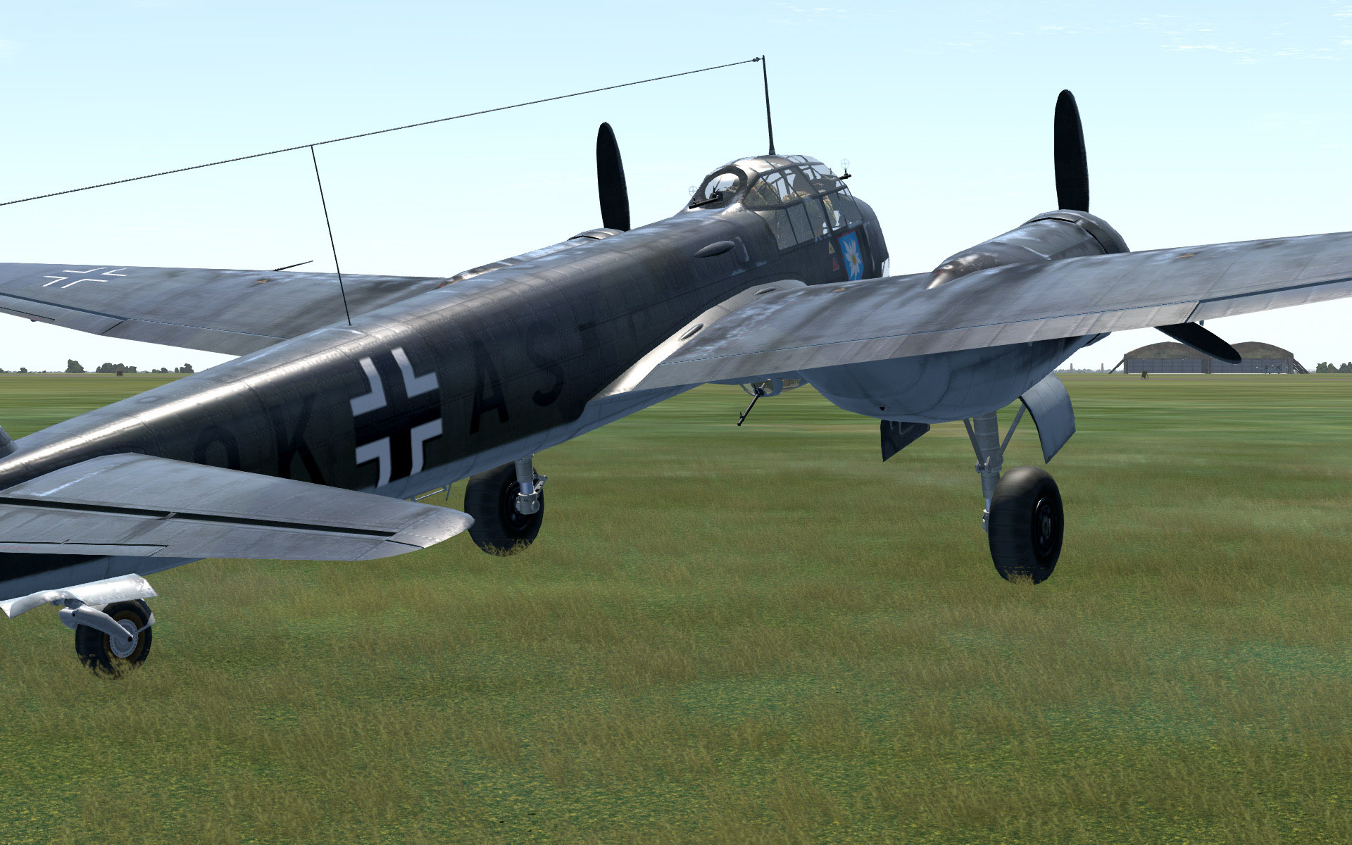 Shot 20170701 010343 adj grass