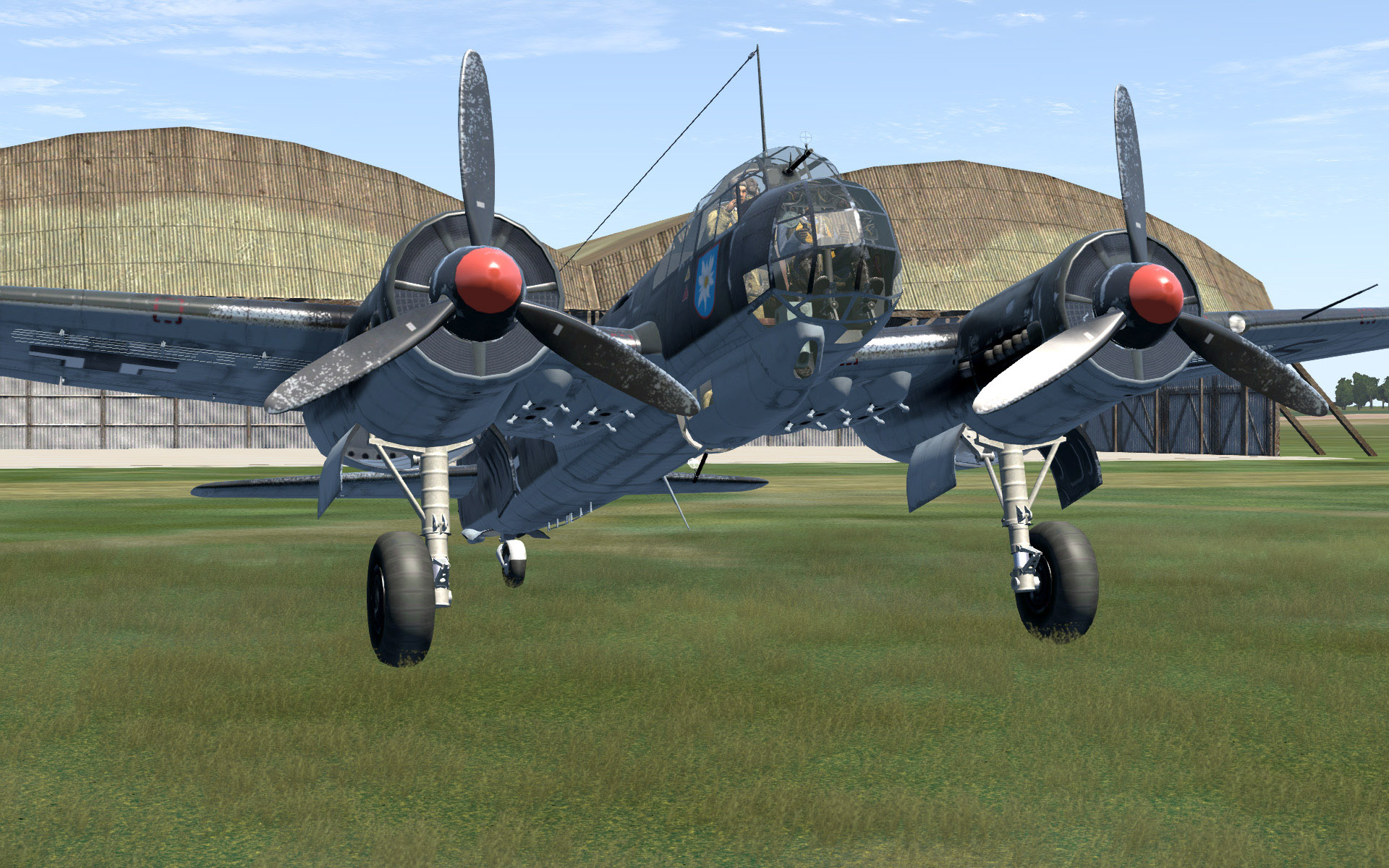 Shot 20170701 010424 adj grass