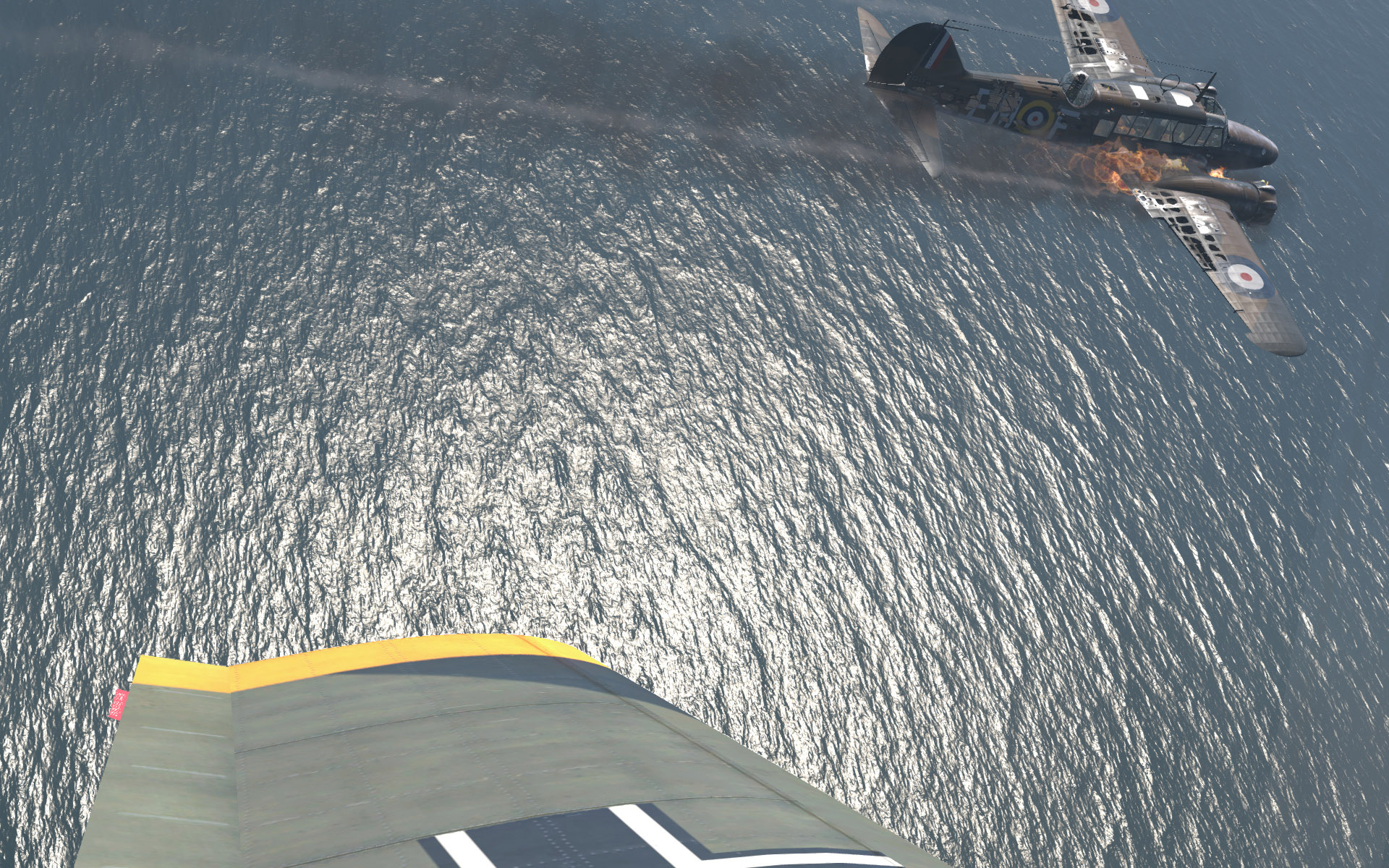 Shot 20220502 205935 copy gelbwingtip